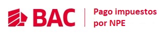 Aplicacion de pago de impuestos NPE